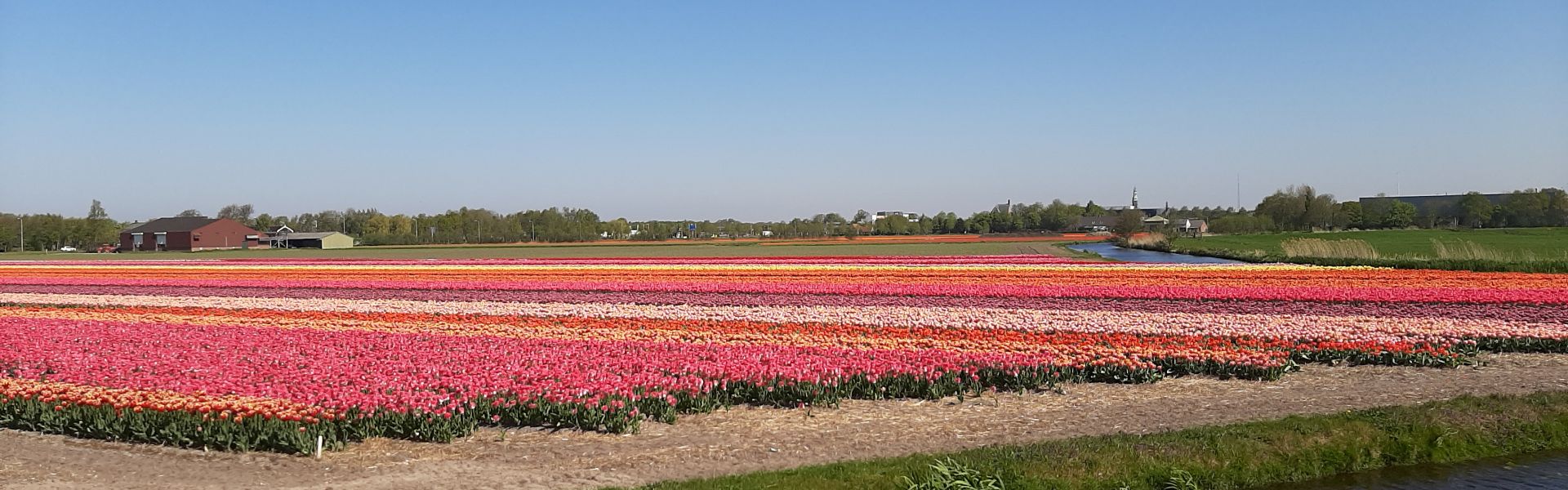 Hoffstal